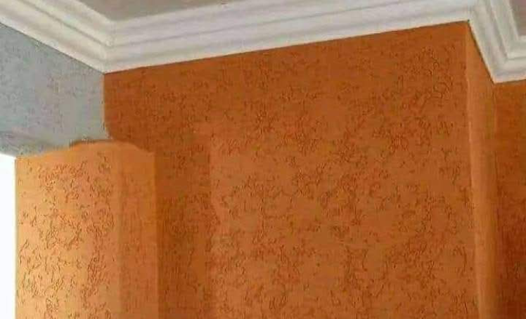 Textured Gamazine Wall Finish